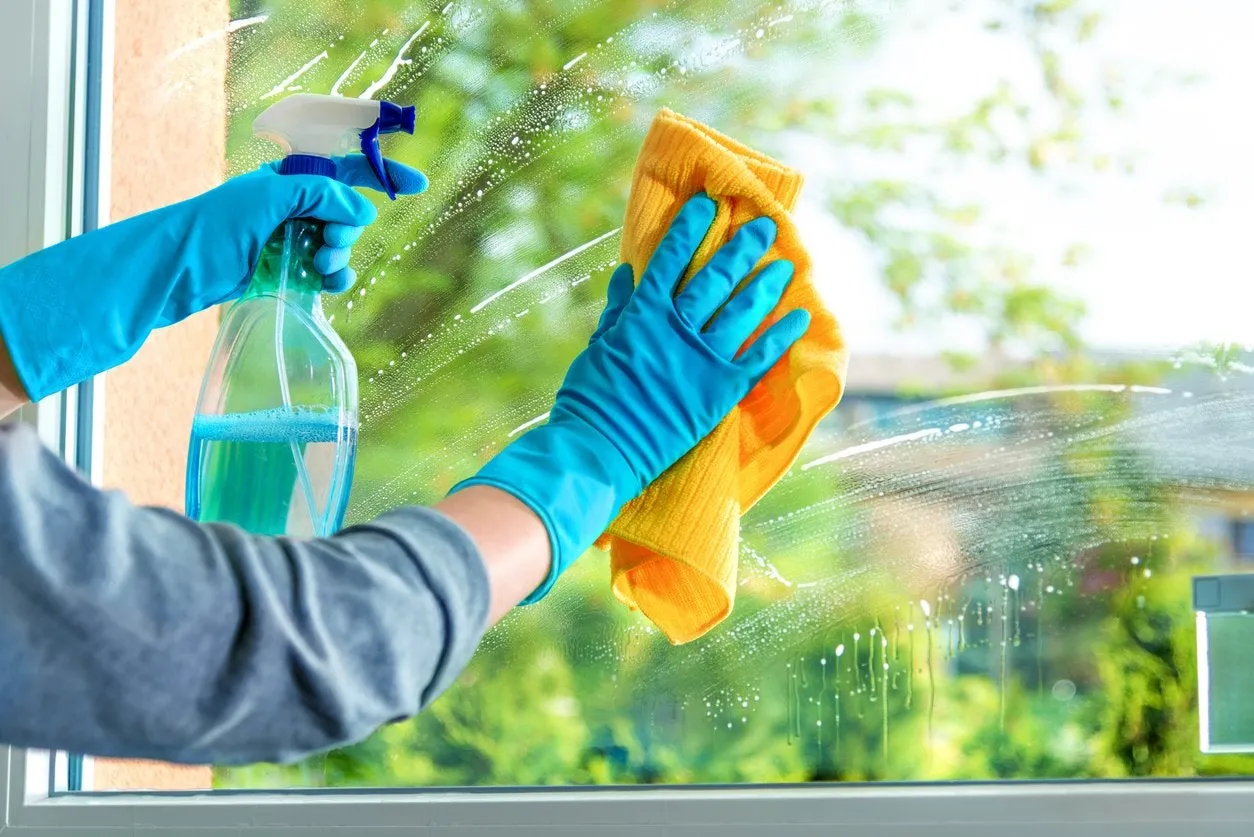 Window Cleaning - Washing